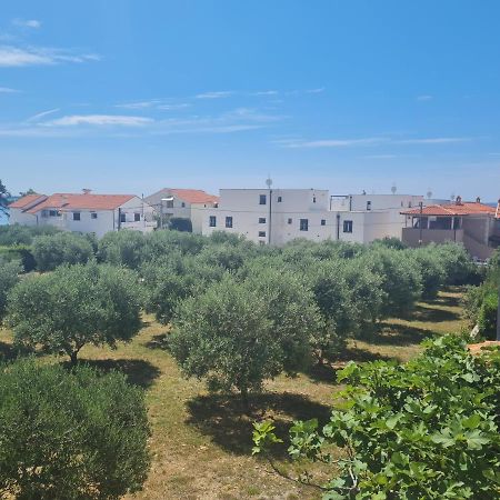 Apartment Tomislav Vir Dış mekan fotoğraf